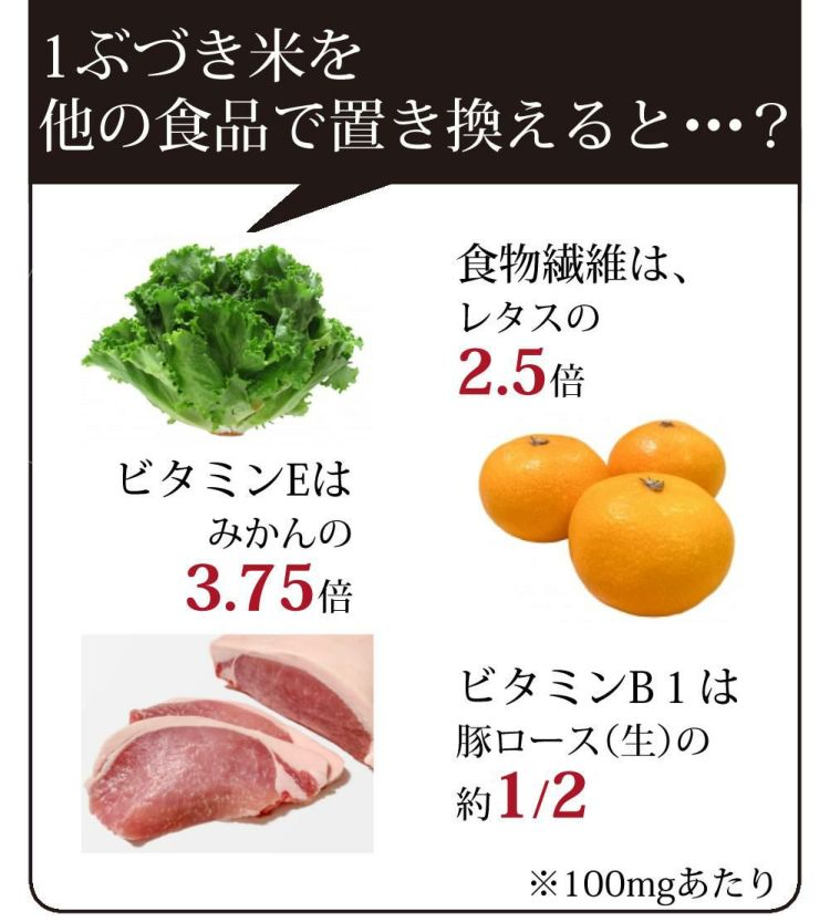 タイワ精機 精米機 コメック 容量30kg PK-30A 50Hz 60Hz選択式  ラッピング不可