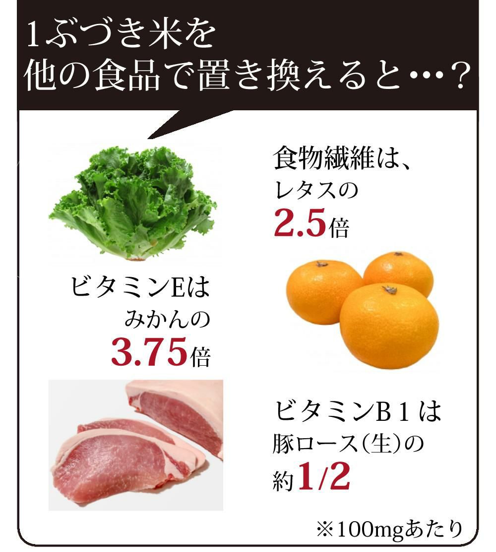 タイワ精機 精米機 コメック 容量30kg PK-30A 50Hz 60Hz選択式  ラッピング不可