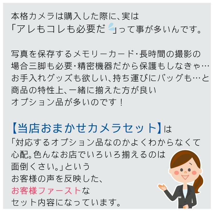 シグマレンズ付お買い得5点セット <br> 新品  キヤノン ミラーレスカメラ EOS R100 ボディー& シグマ 18-50mm F2.8 DC DN C キヤノンRFマウント用 高画質 静止画 動画撮影 Wi-Fi Bluetooth 連続撮影 2410万画素 APS-C ラッピング不可