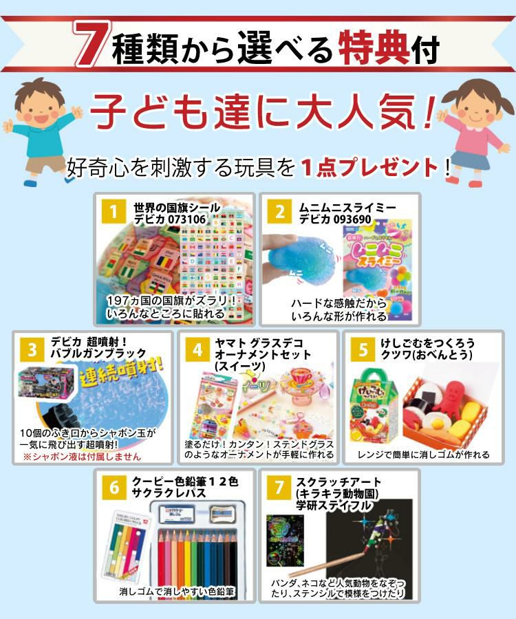 レイメイ藤井 しゃべる国旗付地球儀 トイ 全回転・音声機能付  OYV403 球径 25cm 選べる特典セット 地球儀 喋る プレゼント