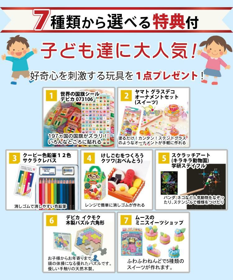 レイメイ藤井 しゃべる国旗付地球儀 トイ 全回転・音声機能付  OYV403 球径 25cm 選べる特典セット 地球儀 喋る プレゼント