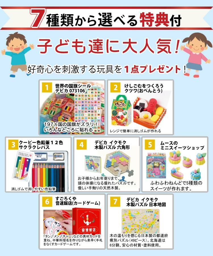 レイメイ藤井 しゃべる国旗付地球儀 トイ 全回転・音声機能付  OYV403 球径 25cm 選べる特典セット 地球儀 喋る プレゼント