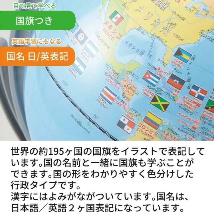 レイメイ藤井 しゃべる国旗付地球儀 トイ 全回転・音声機能付  OYV403 球径 25cm 選べる特典セット 地球儀 喋る プレゼント