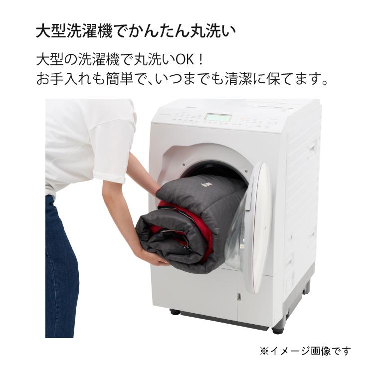 ロゴス 抗菌防臭 丸洗いアリーバ・-6 シュラフ 寝袋 マミー型  適正温度-6℃まで  LOGOS 72940152 ラッピング不可