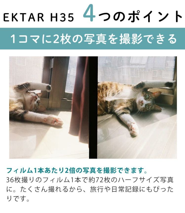 カラーフィルム・電池セット KODAK  コダック  フィルムカメラ インスタントカメラ EKTAR H35 ホワイト