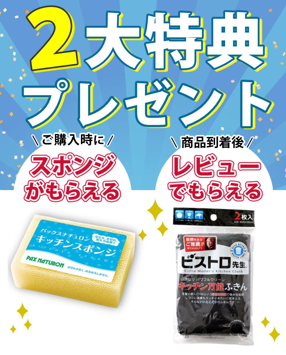 料理研究家リュウジ監修 リュウジの万能スキレット スキレット鍋 陶器 スポンジ付きセット