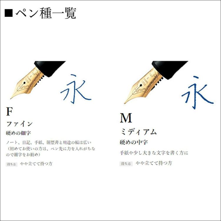 パイロット 万年筆 FC-3MS-S キャップレス ストライプ シルバー 細字 中字 F M
