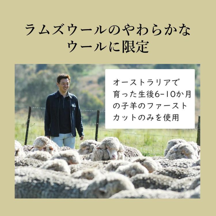 ディーブレス MAXIMUM The Sofwool 掛け毛布 Sシングル MSF-K7022S