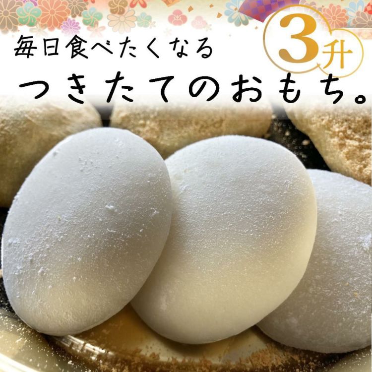 エムケー精工 餅つき機 もちつき 全自動 3升 RM-541SZ