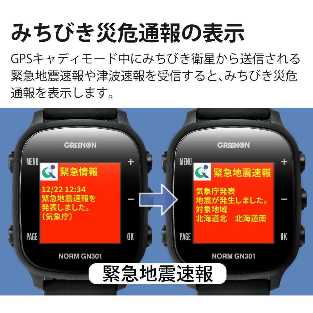 SUBEッティ付グリーンオン THE GOLF WATCH NORM GN301 ゴルフナビ GPS ナビ ラウンド用品 小物 アクセサリー