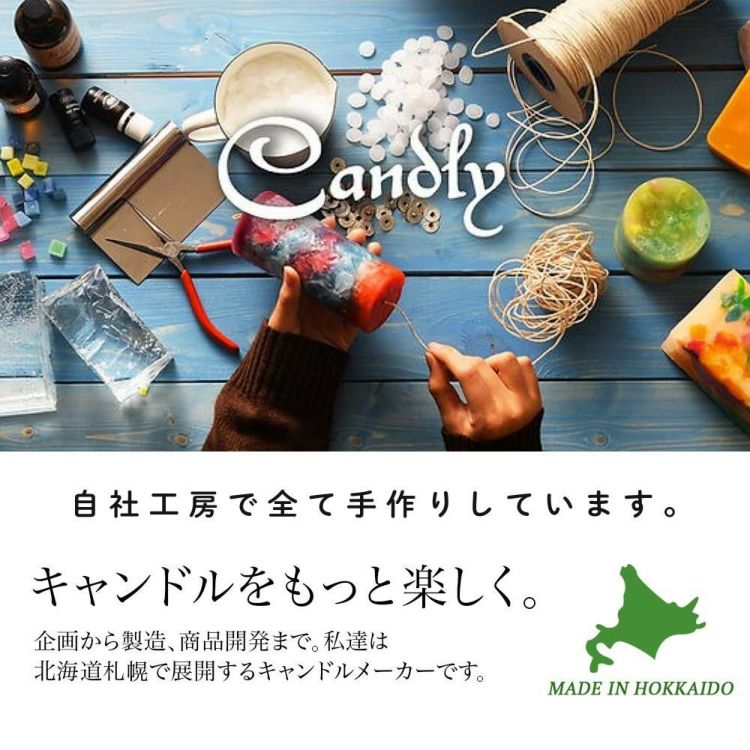 Candly キャンドリー 果実ジュレキャンドル イチゴ メロン マスカット グミワックス 日本製 ハンドメイド