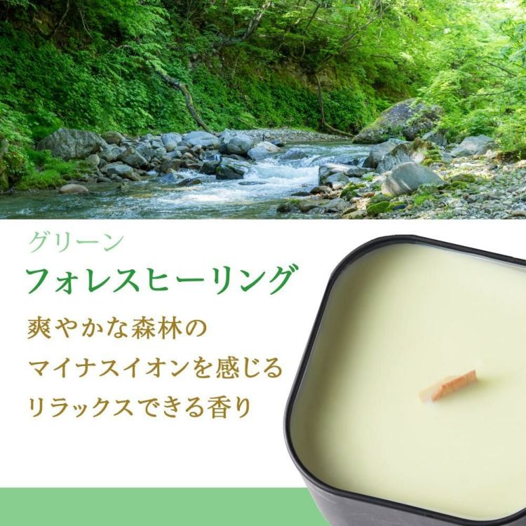キャンドリー PACHITTO  小さな焚火 キャンドル 木芯のキャンドル グリーン グレー ブルー ブラウン