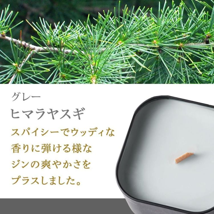 キャンドリー PACHITTO  小さな焚火 キャンドル 木芯のキャンドル グリーン グレー ブルー ブラウン