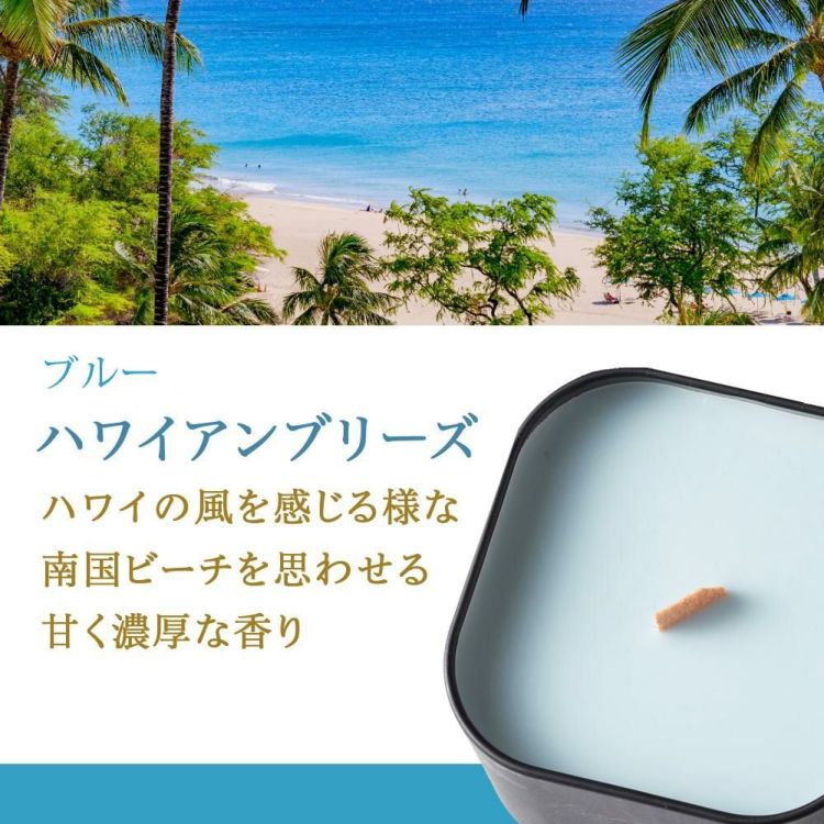 キャンドリー PACHITTO  小さな焚火 キャンドル 木芯のキャンドル グリーン グレー ブルー ブラウン