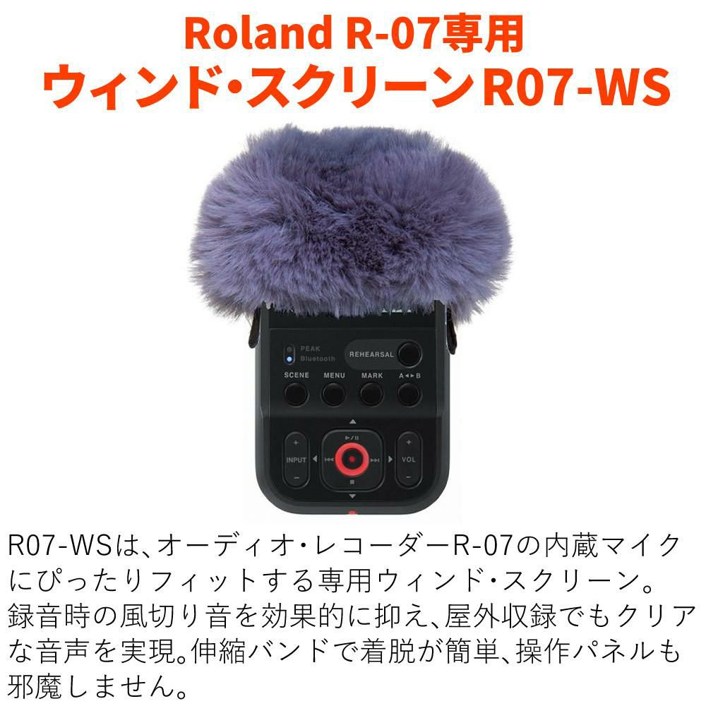 ローランド Roland R-07 BK ブラック 専用 ウィンド・スクリーン セット