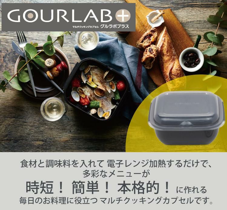 岩谷マテリアル グルラボプラス マルチセット IM-GLBMS 電子レンジ調理器 時短 料理 オーブン調理 カンタン 簡単 保存容器