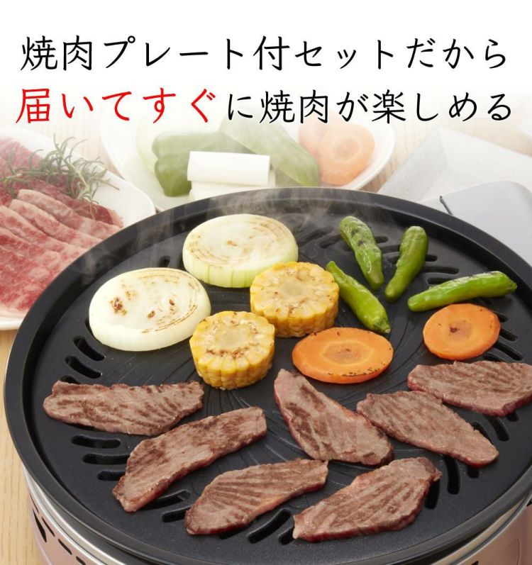 イワタニ カセットフー ビストロの達人プラス 焼肉プレート セット