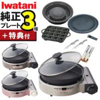 イワタニ カセットフー ビストロの達人プラス 焼肉 たこ焼き 網焼き プレート セット