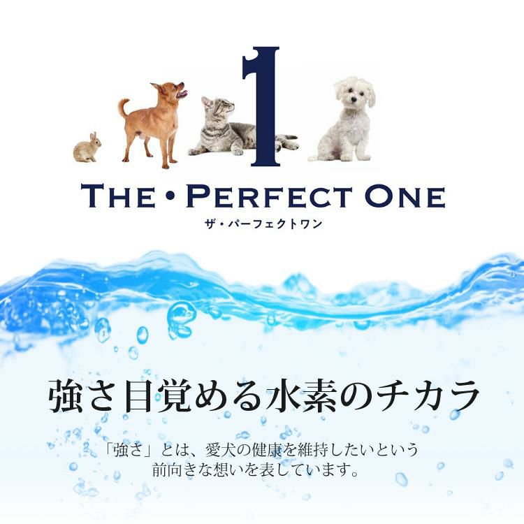 猫用おもちゃ付 サンライズ THE・PERFECT ONE ドライ チキン＆まぐろ入り 室内シニア猫用 避妊去勢後猫の健康な尿路・毛玉ケア 500g×3袋STP‐015 国産 無添加 マルカン ザ・パーフェクトワン キャットフード ペットフードラッピング不可