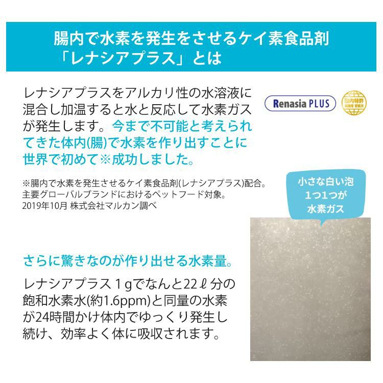 猫用おもちゃ付 サンライズ THE・PERFECT ONE ドライ チキン＆まぐろ入り 室内シニア猫用 避妊去勢後猫の健康な尿路・毛玉ケア 500g×3袋STP‐015 国産 無添加 マルカン ザ・パーフェクトワン キャットフード ペットフードラッピング不可