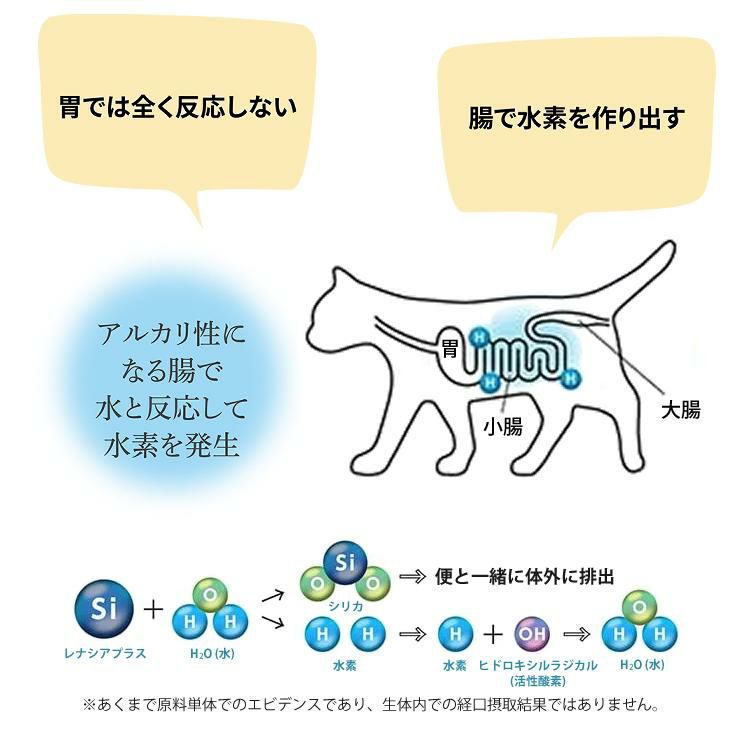 猫用おもちゃ付 サンライズ THE・PERFECT ONE ドライ チキン＆まぐろ入り 室内シニア猫用 避妊去勢後猫の健康な尿路・毛玉ケア 500g×3袋STP‐015 国産 無添加 マルカン ザ・パーフェクトワン キャットフード ペットフードラッピング不可