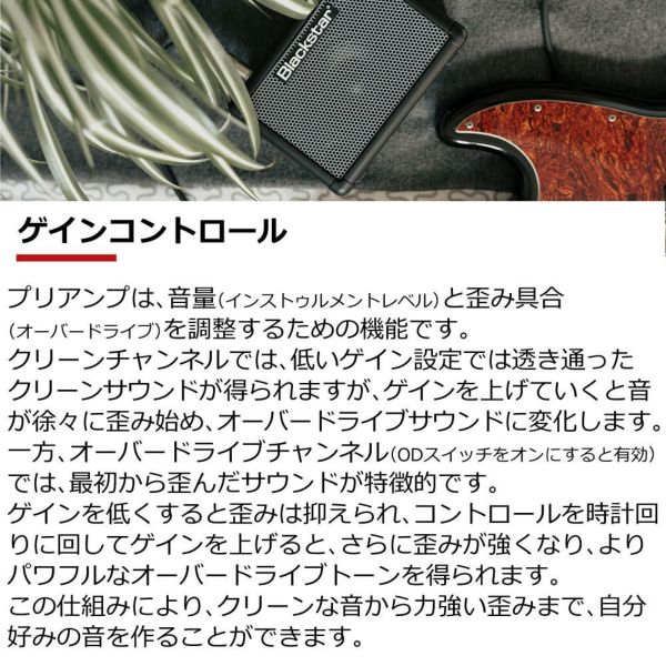 Blackstar FLY3 BASS ＆ ＆ Blackstar FLY パワーサプライ FLY3用電源アダプター PSU-1セットラッピング不可