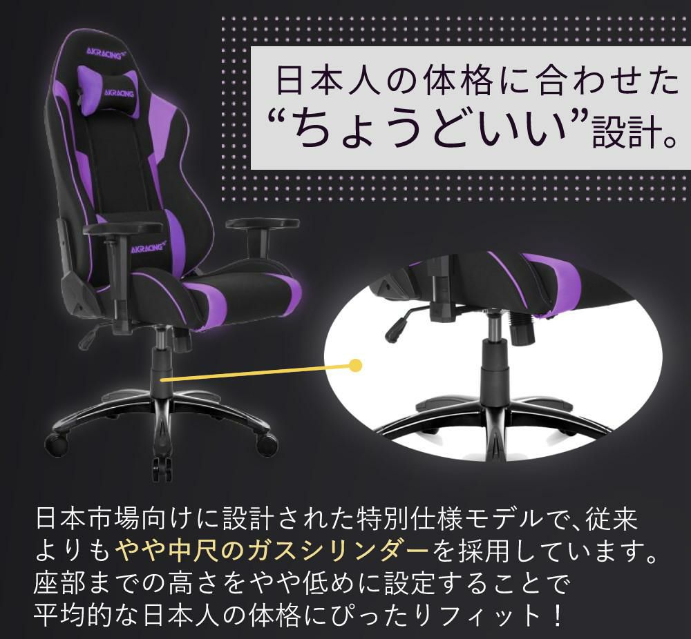 レビュー特典  AKRACING AKレーシング Wolf Gaming Chair ゲーミングチェアラッピング不可