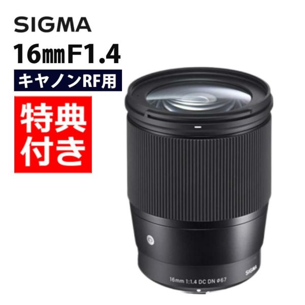 バッグ付き シグマ 16mm F1.4 DC DNC  キヤノンRFマウント用