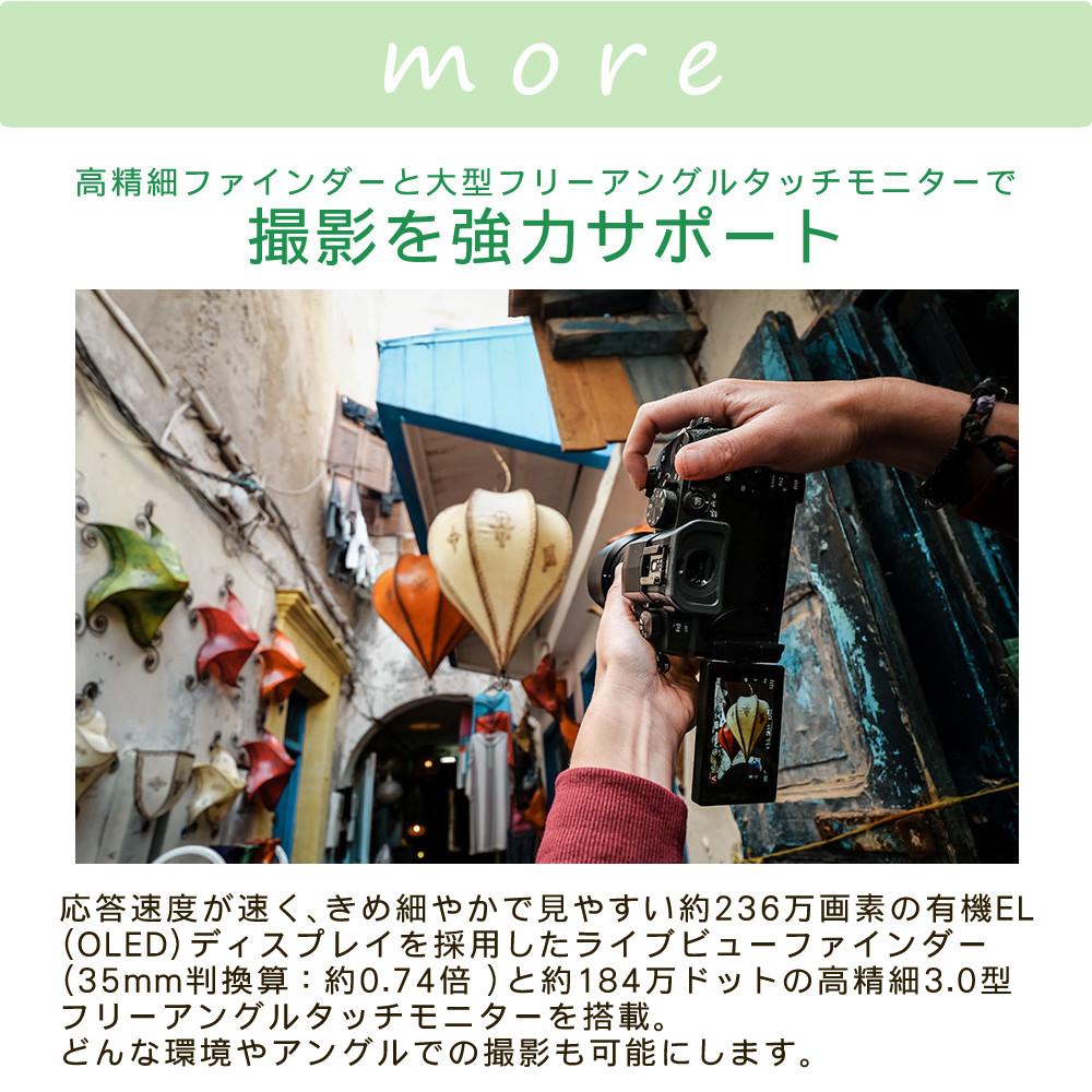 パナソニック ルミックス デジタル一眼カメラ G99M2H 14-140キット ミラーレス (三脚・SD等7点セット)（ラッピング不可）