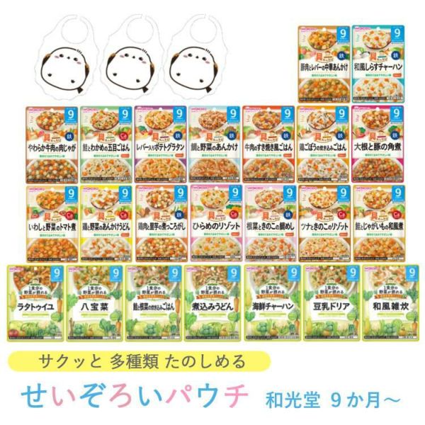 ベビーフード ギフトセット 離乳食 9ヶ月頃～ 和光堂 パウチ 23点セット
