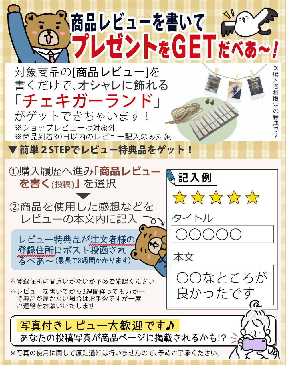 富士フイルム チェキ instax WIDE Evo インスタックス ワイドエボ フィルム10枚柄ランダム・SD等6点セット