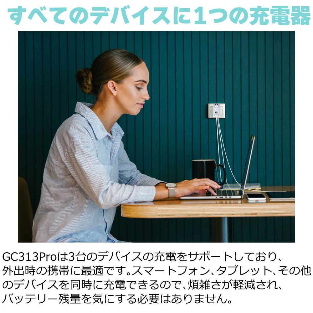 アバーメディア ライブジェネレータポケット AVerMedia LIVE GENERATOR POCKET GC313PWH 外付キャプチャー 充電器