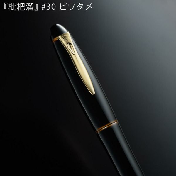 プラチナ万年筆 出雲 溜塗り PIZ-55000 ソラタメ アカタメ ビワタメ 空