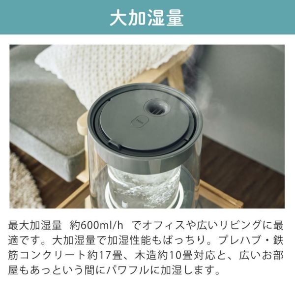 QUADS 加湿器 スチーム式 グラス GLASS ガラススチーム QS549 | ホーム